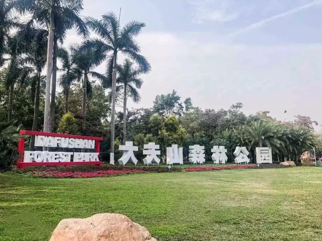 广州周末踏青好去处人少的地方,适合清明踏青的地方广州有哪些