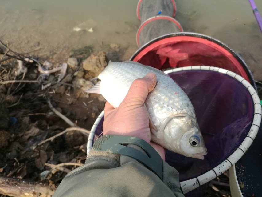 武汉冬钓钓点,武汉冬钓路亚