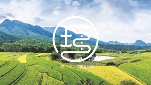 4a品牌设计,4a品牌设计公司做什么