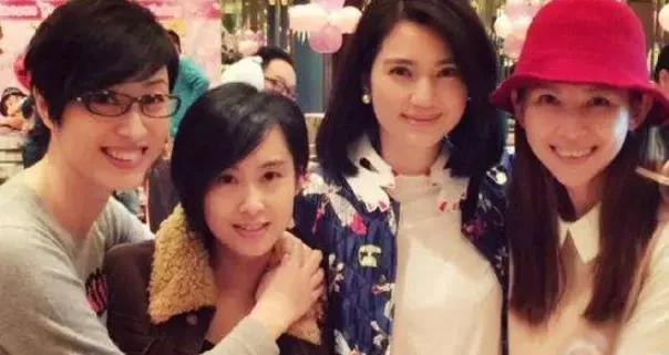 洪欣陈法蓉最近消息,洪欣陈法蓉合体综艺