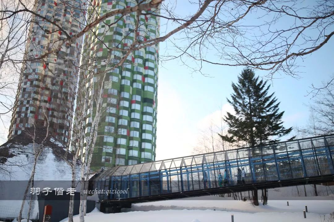 老实说，这一趟北海道就是为了拍好看的照片去的