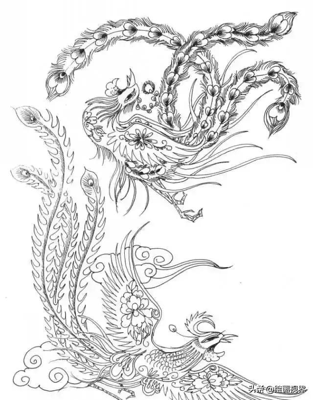 凤凰绘画中国风线稿,凤凰白描线稿特点