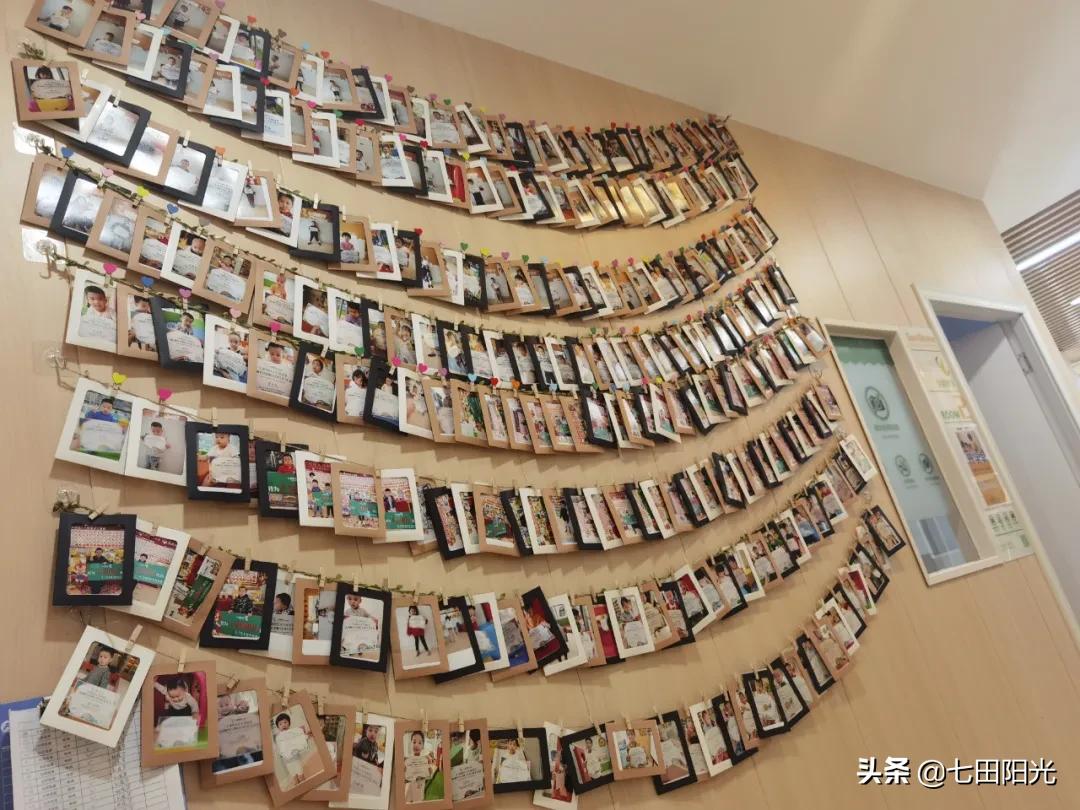 七田阳光锦州校区,七田阳光大亚湾校区