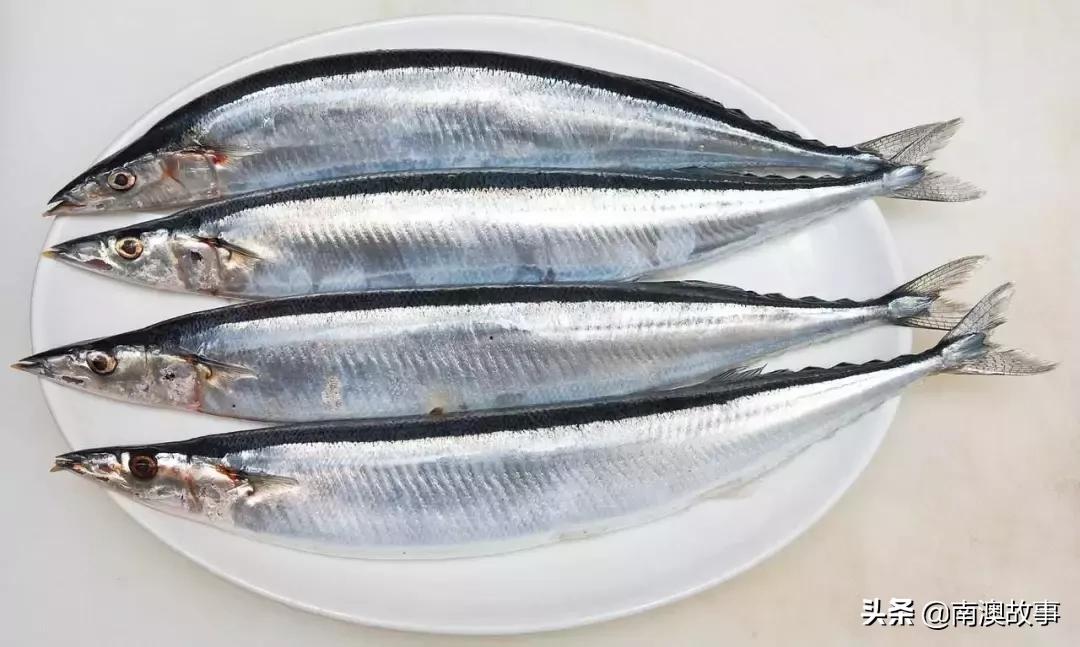 南澳渔民捕鱼视频,南澳渔民出海