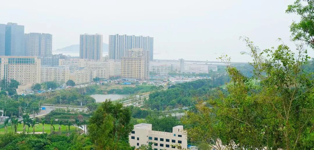 深圳11号线哪一站下车可以看海,坐深圳11号线去看海的地方