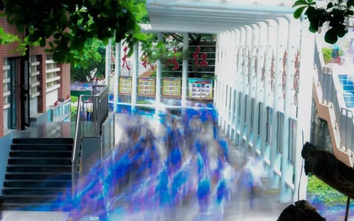 红岭中学可以走读吗,深圳红岭中学优缺点