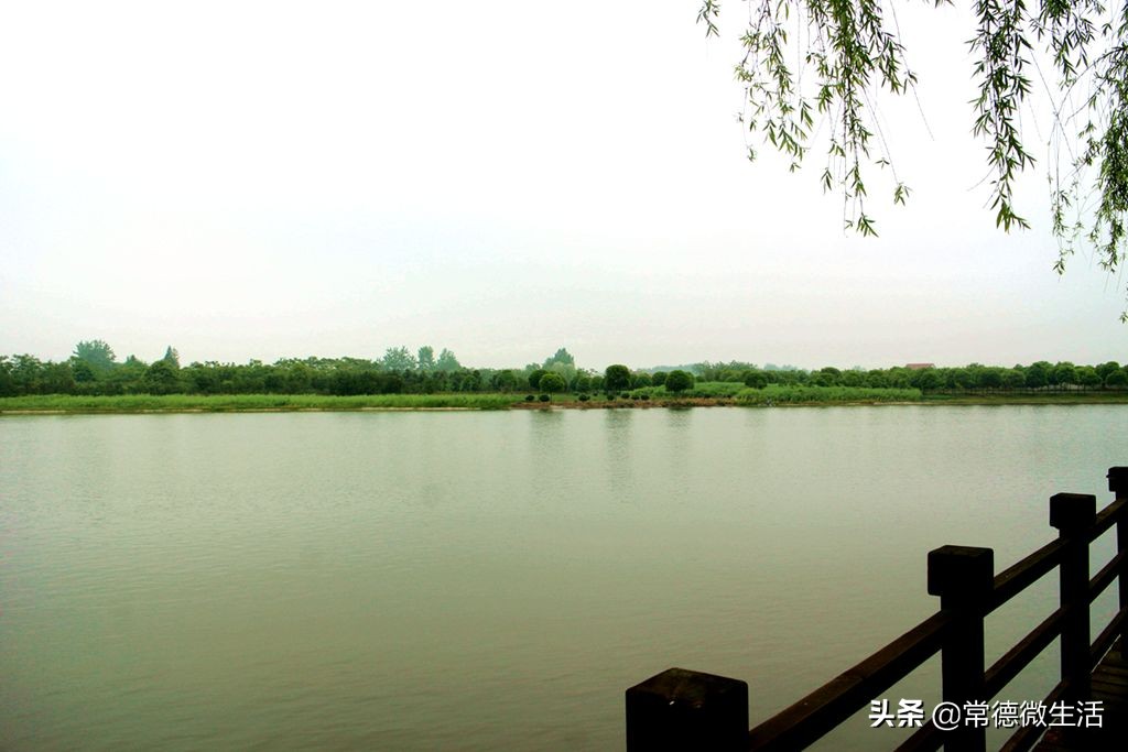 常德丹洲大草原介绍,丹洲草原风景