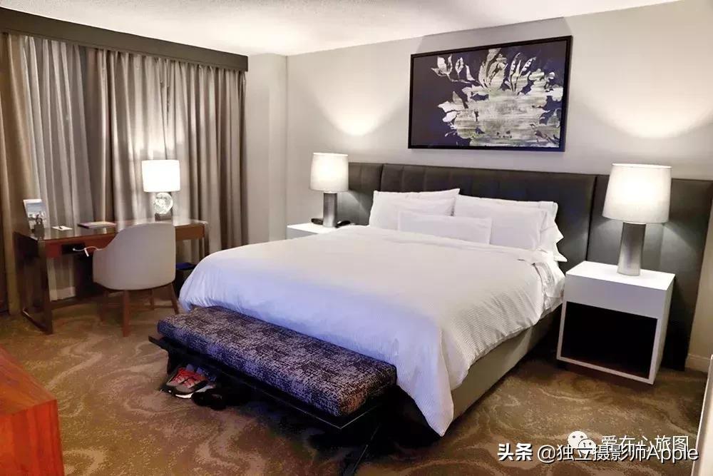 喂鳄鱼、看篮球比赛和太空中心的好玩休斯顿