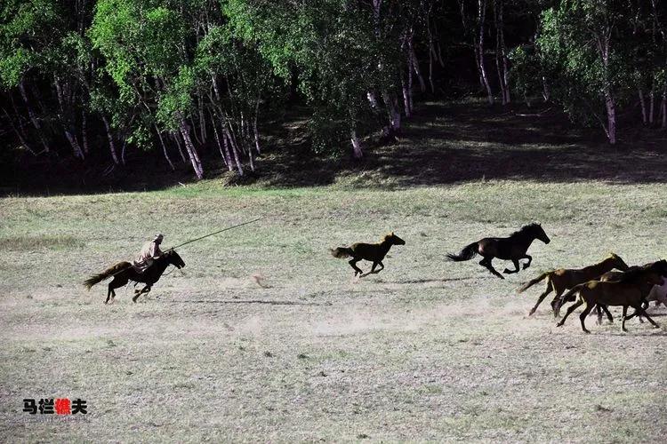 布里亚特牧民骑马摄影作品,草原蒙古族服饰摄影