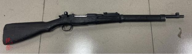 甲午战争时的中国陆军,甲午战争后日本海军购买军舰