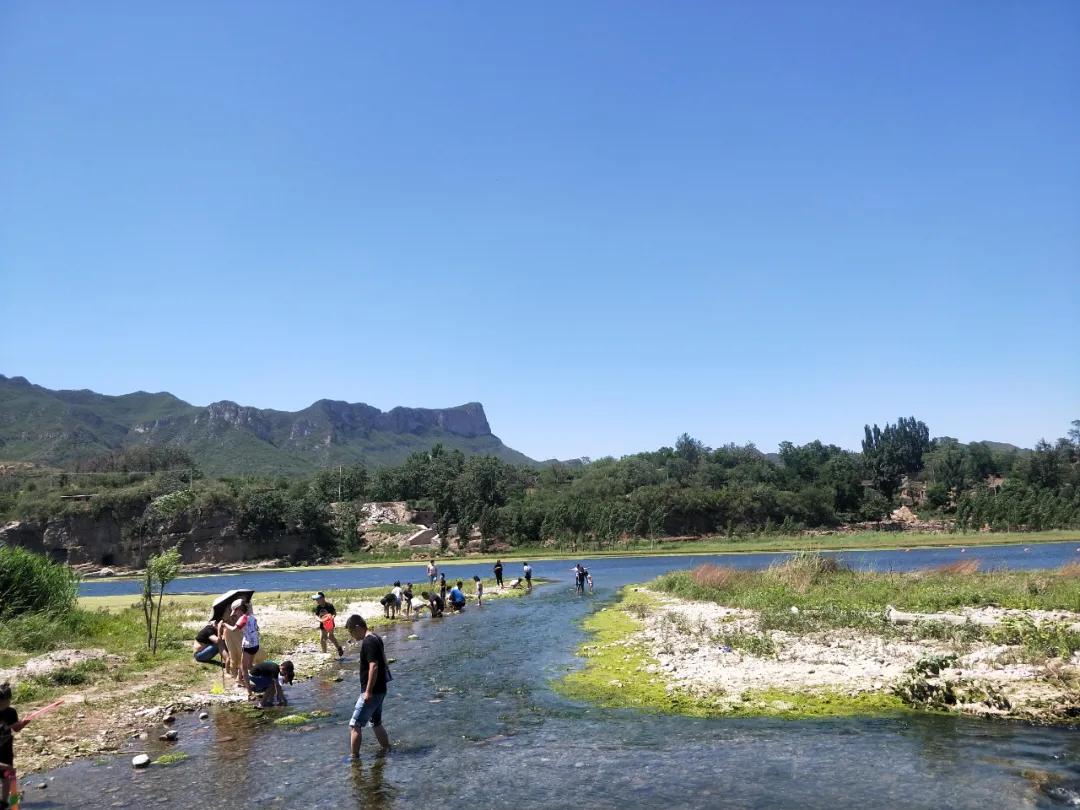 石家庄豌豆农场门票,豌豆农场井陉