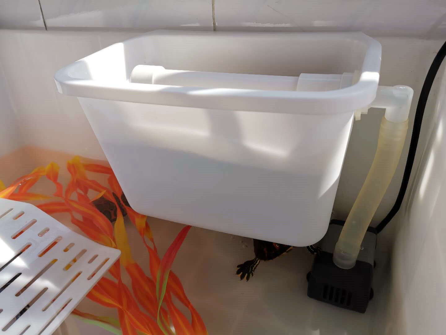 养龟要上过滤还是下过滤,养龟沼泽过滤好还是滴流过滤好