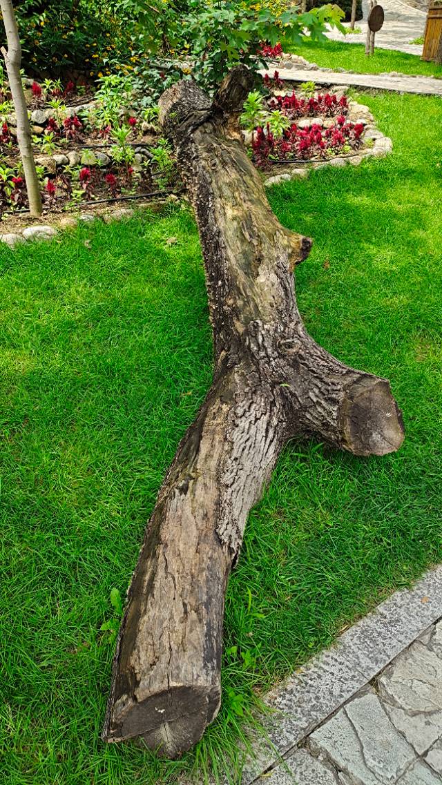 <html>
<head><title>502BadGateway</title></head>
<body>
<center><h1>502BadGateway</h1></center>
<hr><center>nginx</center>
</body>
</html>
<!--apaddingtodisableMSIEandChromefriendlyerrorpage-->
<!--apaddingtodisableMSIEandChromefriendlyerrorpage-->
<!--apaddingtodisableMSIEandChromefriendlyerrorpage-->
<!--apaddingtodisableMSIEandChromefriendlyerrorpage-->
<!--apaddingtodisableMSIEandChromefriendlyerrorpage-->
<!--apaddingtodisableMSIEandChromefriendlyerrorpage-->
