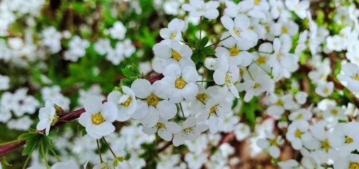 和谁在一起的确很重要美文,和谁在一起的确很重要