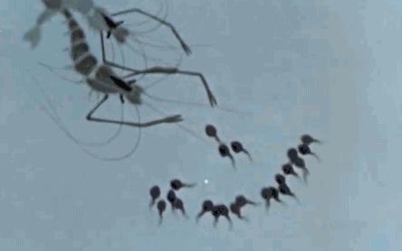 这些真正的原创经典，现在孩子却很少看过，真是太可惜了…