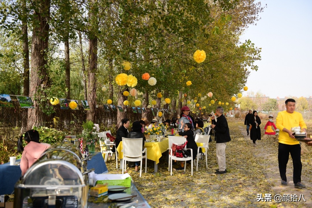 没有比利时花园游，来点比利时啤酒吧|随笔