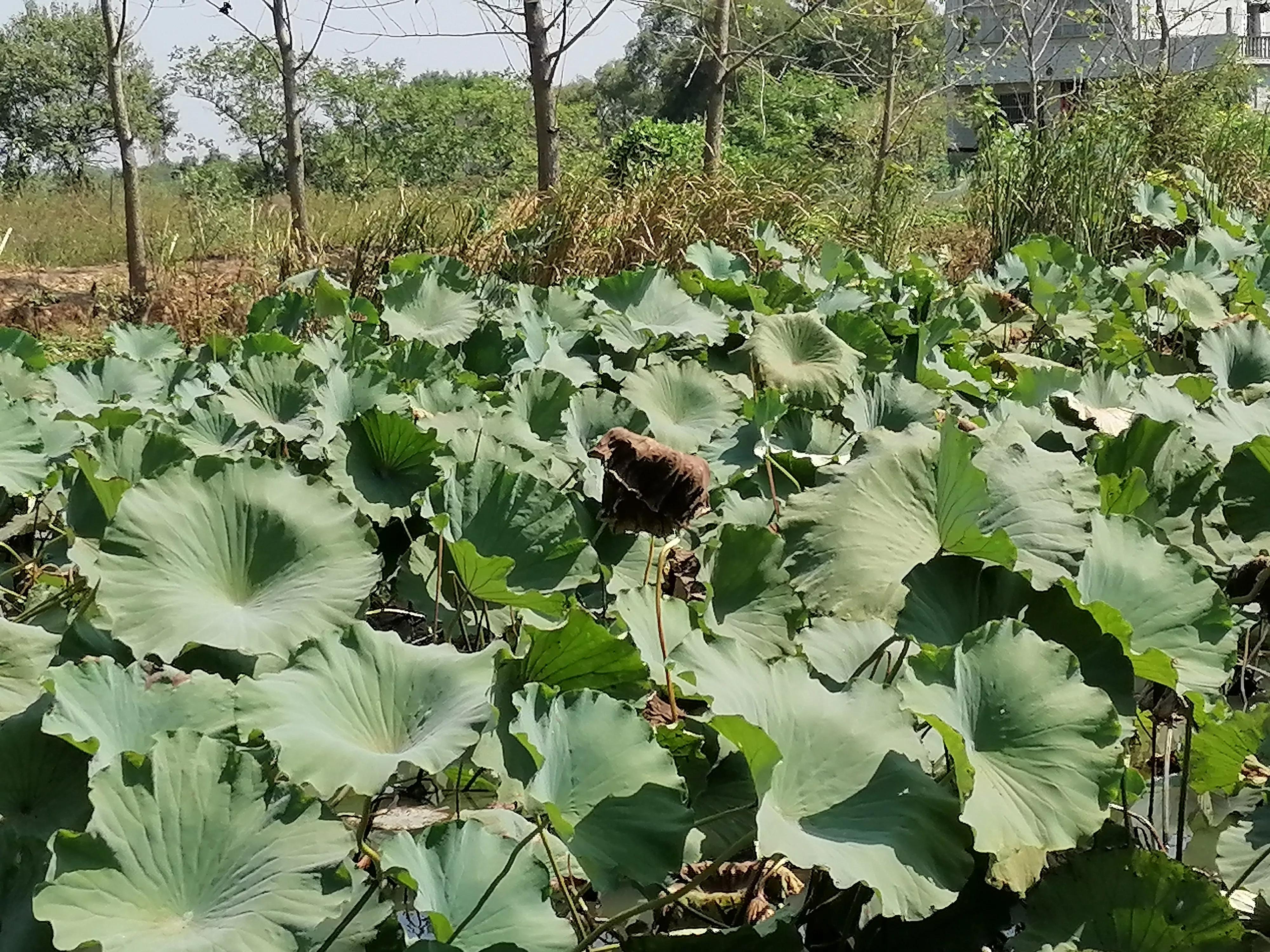 钥匙丢了怎么样开锁,钥匙丢了怎么配钥匙
