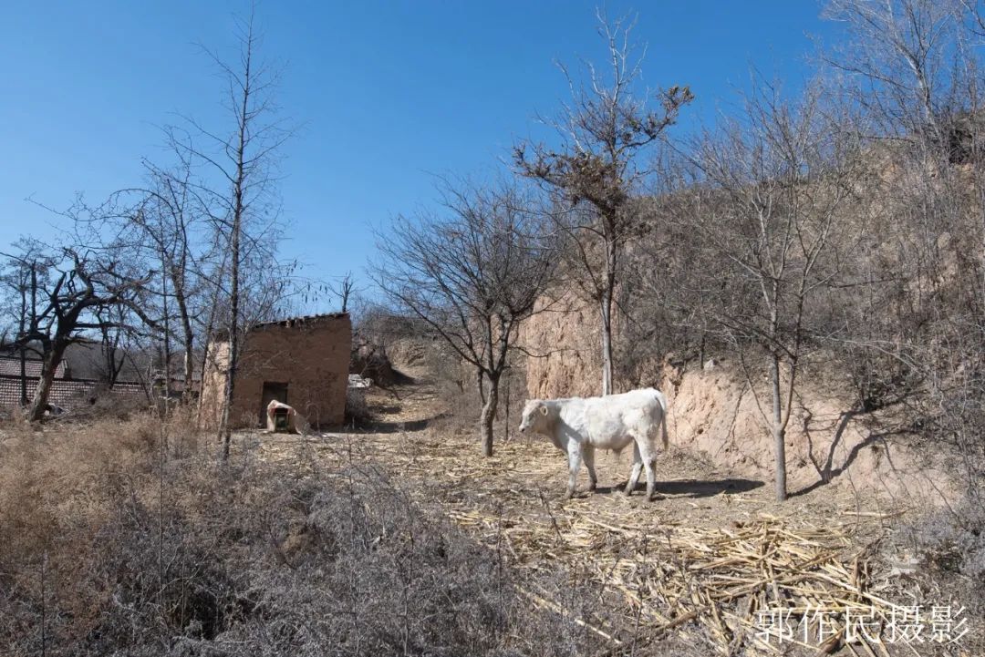 一不小心扭到腰了怎么能治好,一不小心摔坏了脚