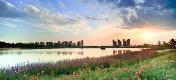 易麦屋,易麦屋银川