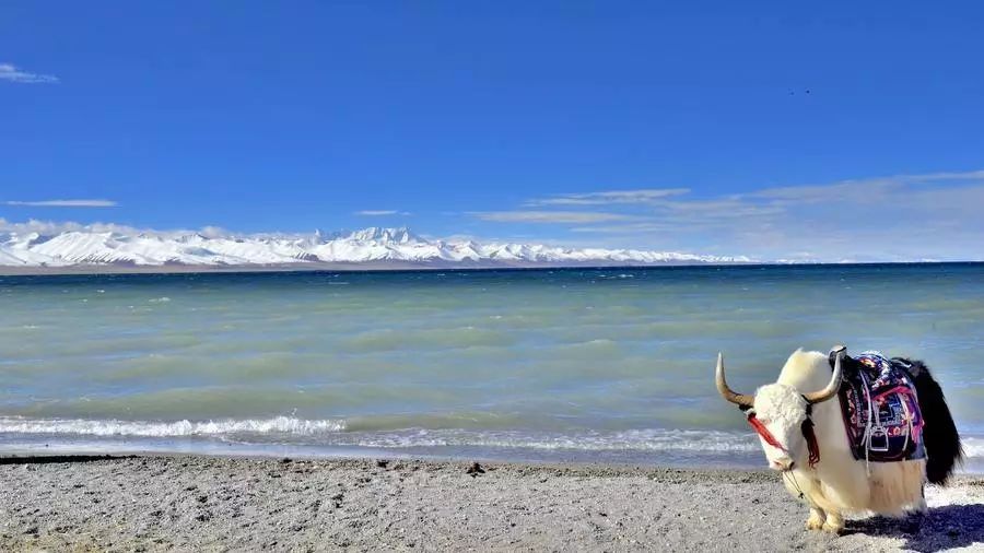 这7个胜似人间仙境的湖泊，和你的TA来这里共度余生！