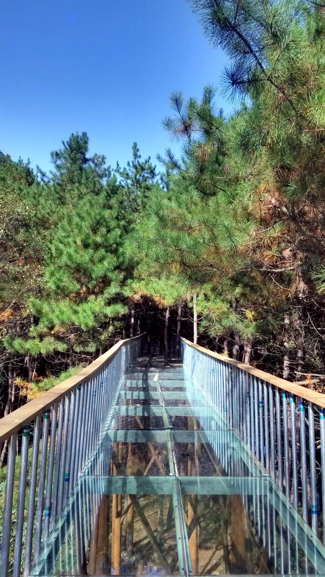 黄陵森林公园哪里好玩,黄陵国家森林公园游玩项目花费