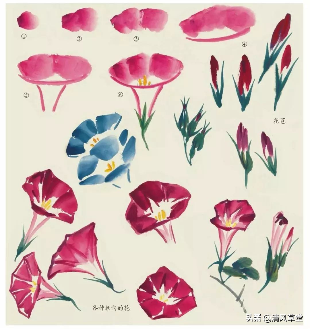 少儿国画花卉画法视频,各种花卉的100种画法