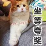 高帮帆布鞋夏天穿会不会很热,帆布鞋适合夏天穿吗