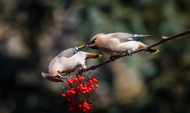 跟同事关系不好怎么相处,不会说话不会和同事相处怎么办
