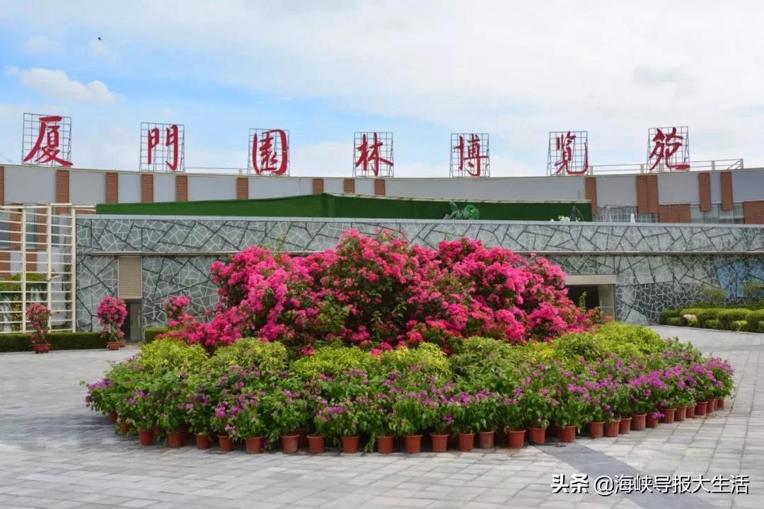 厦门旅游年卡新增,厦门旅游年卡景区预约攻略