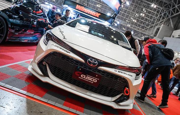 日本男子花两万块将自己改造成狗,日本丰田卡罗拉改装图片