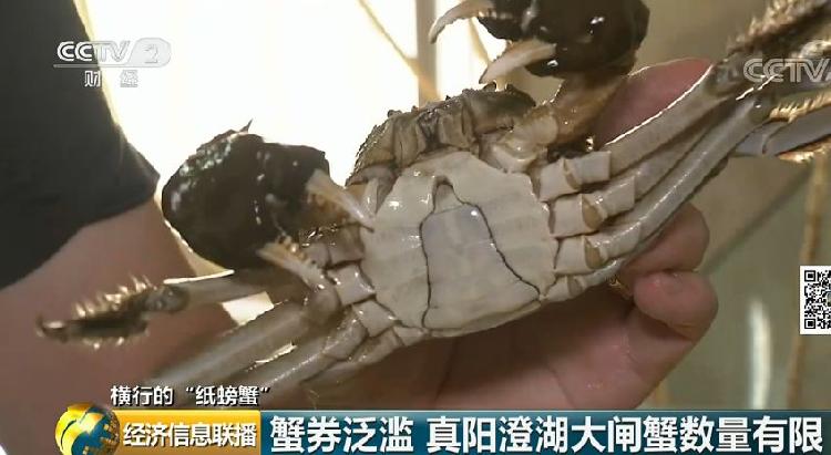 一只螃蟹没卖净赚100元,一只螃蟹没卖每张蟹券净赚100