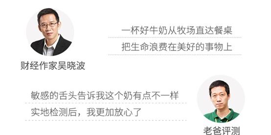 家庭元气满满的简单的早餐,元气满满早餐食谱大全