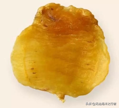 鳘鱼胶怎么做最好吃,鳘鱼胶的最佳做法大全