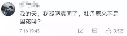 我们要评“国花”了！网友又吵翻了天！你pick哪种？