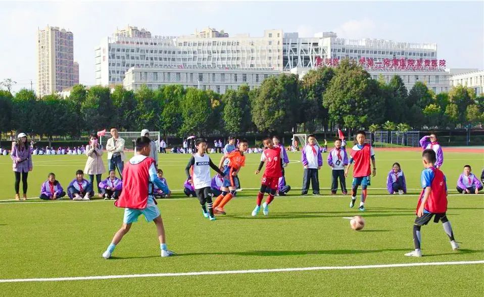 多元升学路径助力孩子圆梦名校,多元升学途径与学业规划