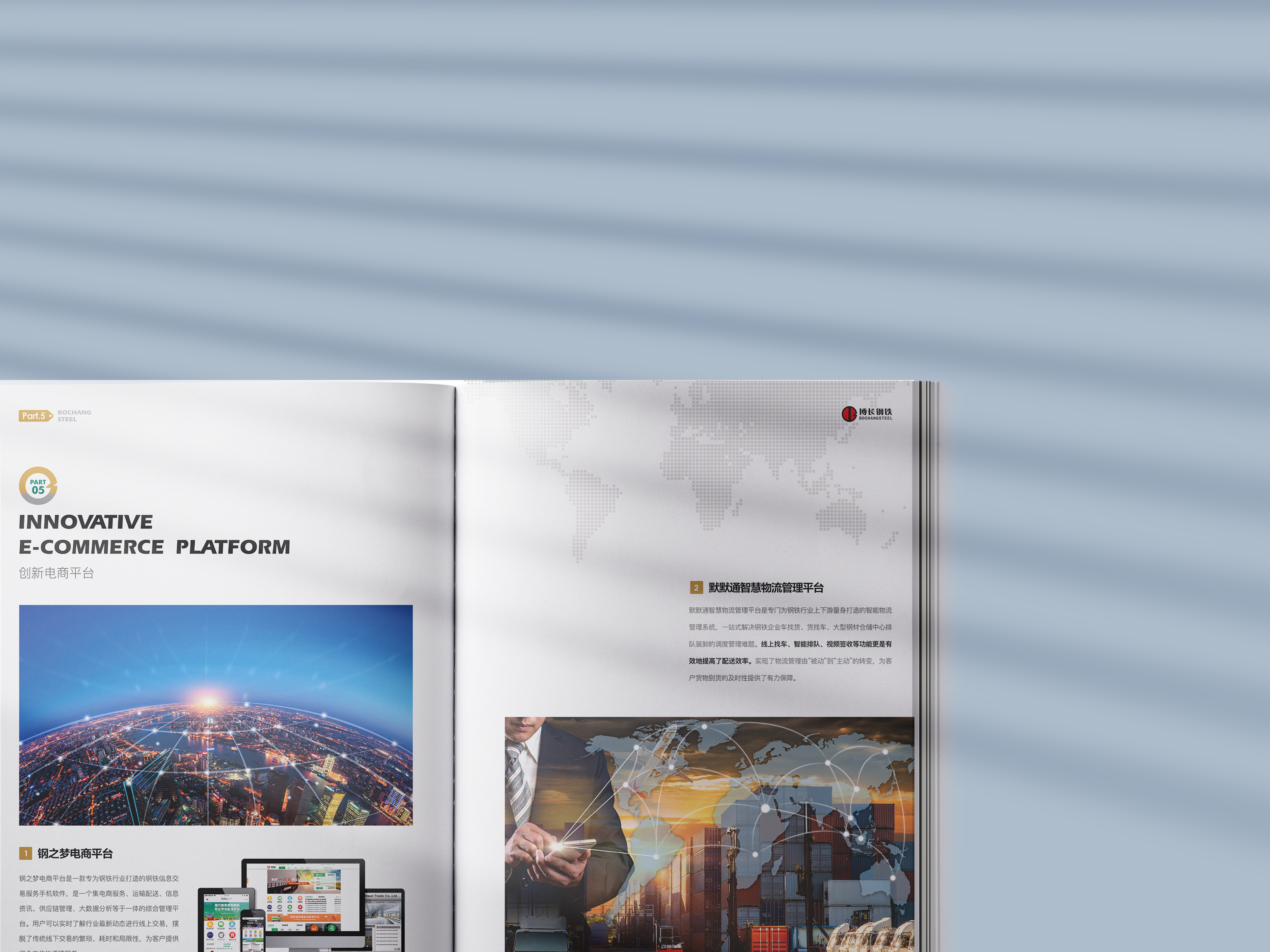 常德博长钢铁贸易有限公司,衡阳博长钢铁贸易有限公司技改