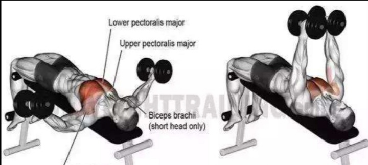 哑铃飞鸟练胸的正确方法,哑铃飞鸟正确做法