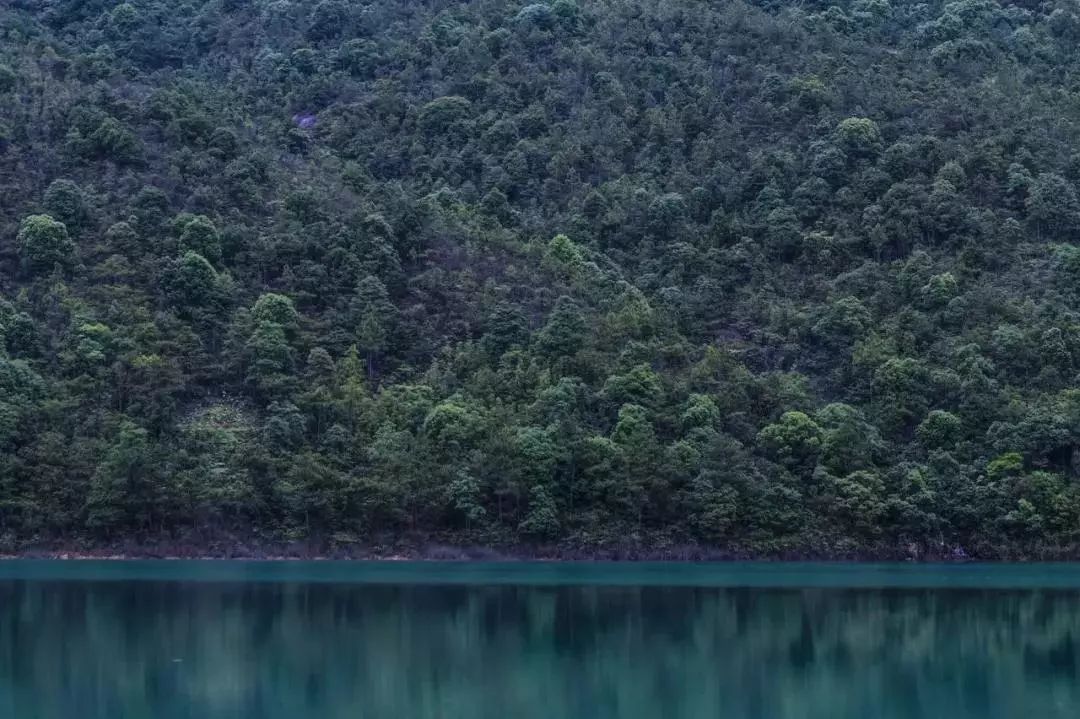 央美女生毕业作品,央美女生毕业