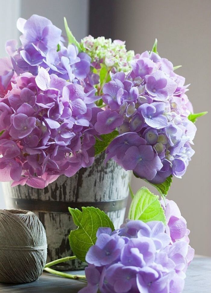 鲜花到了隔多久醒花最合适,刚收到的花蔫了怎么处理