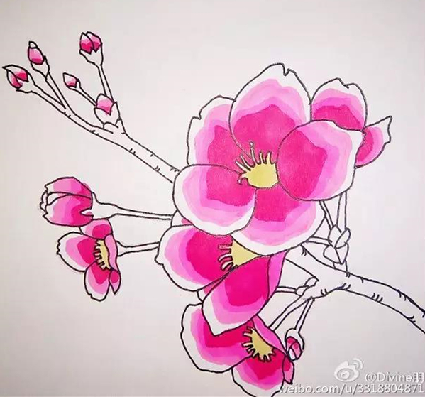 桃花简笔画：一步一步教你画桃花的教程，简单又好看，你想学吗？