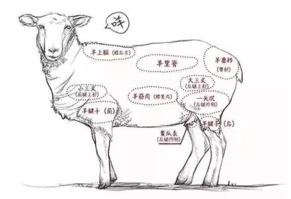 老北京火锅和潮汕打边炉,涮羊肉老北京vs四川火锅