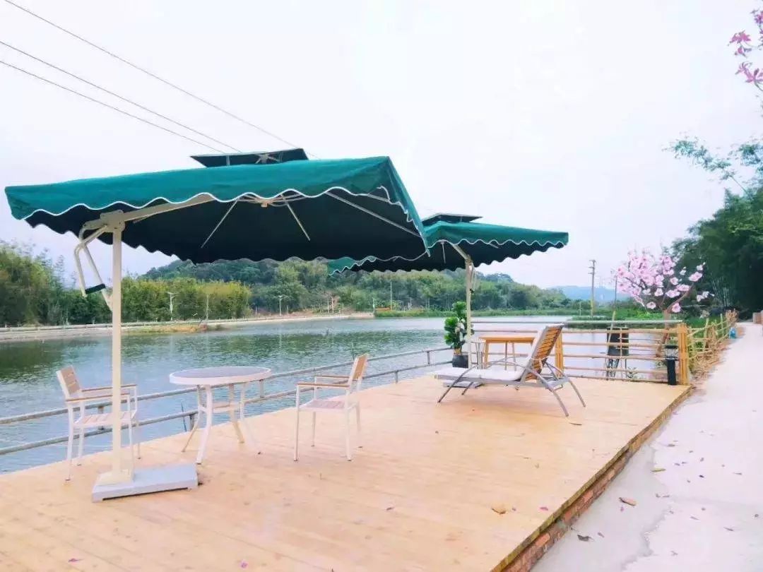 藏于稻田竹海中的增城轻奢民宿,广州增城中新镇三天两夜民宿推荐