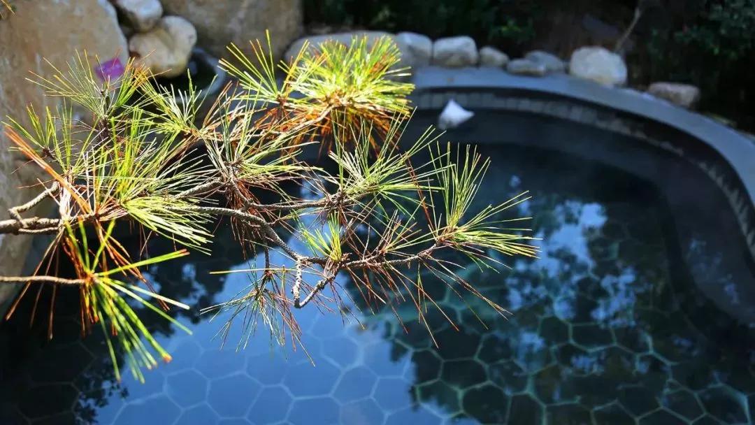 山东冬天温泉推荐,山东室外温泉推荐的30个温泉