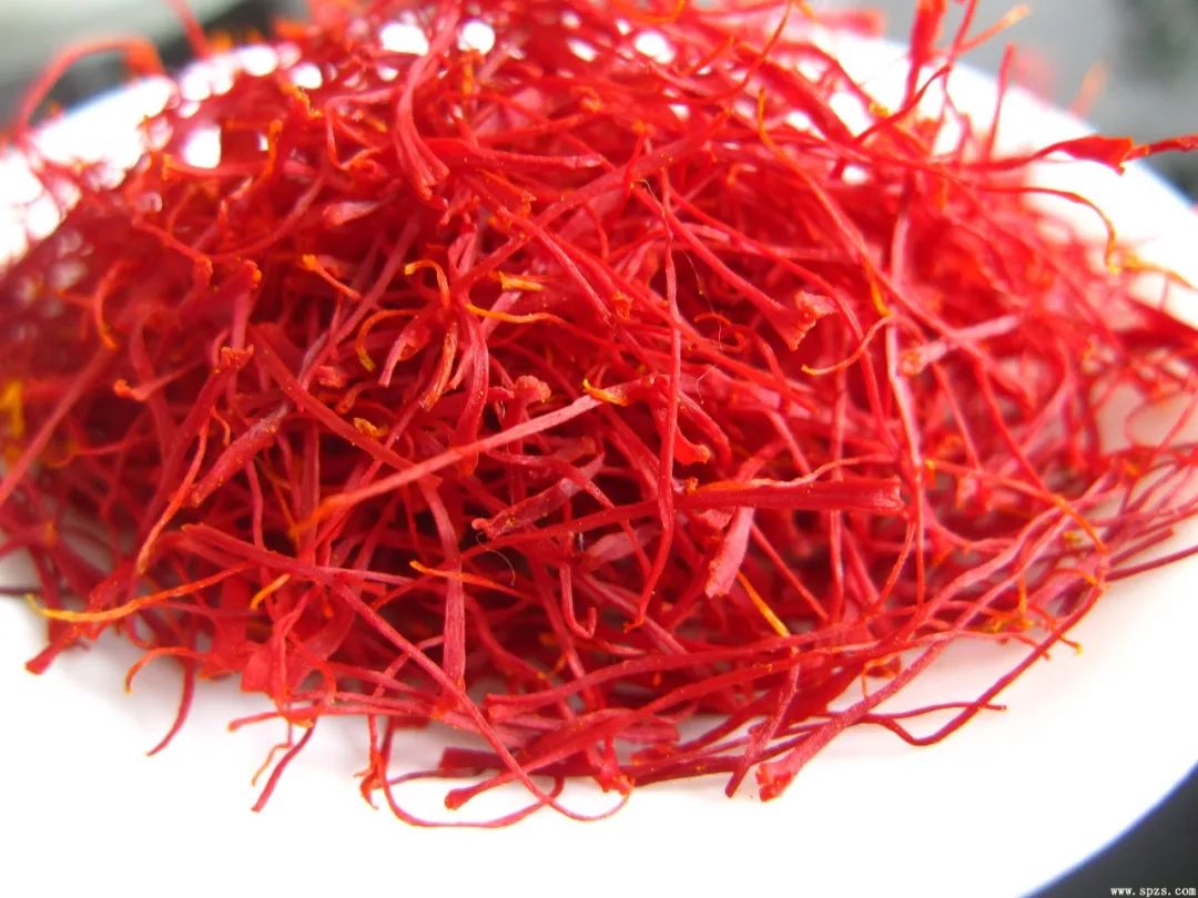 西红花花中软黄金,藏红花黄金花