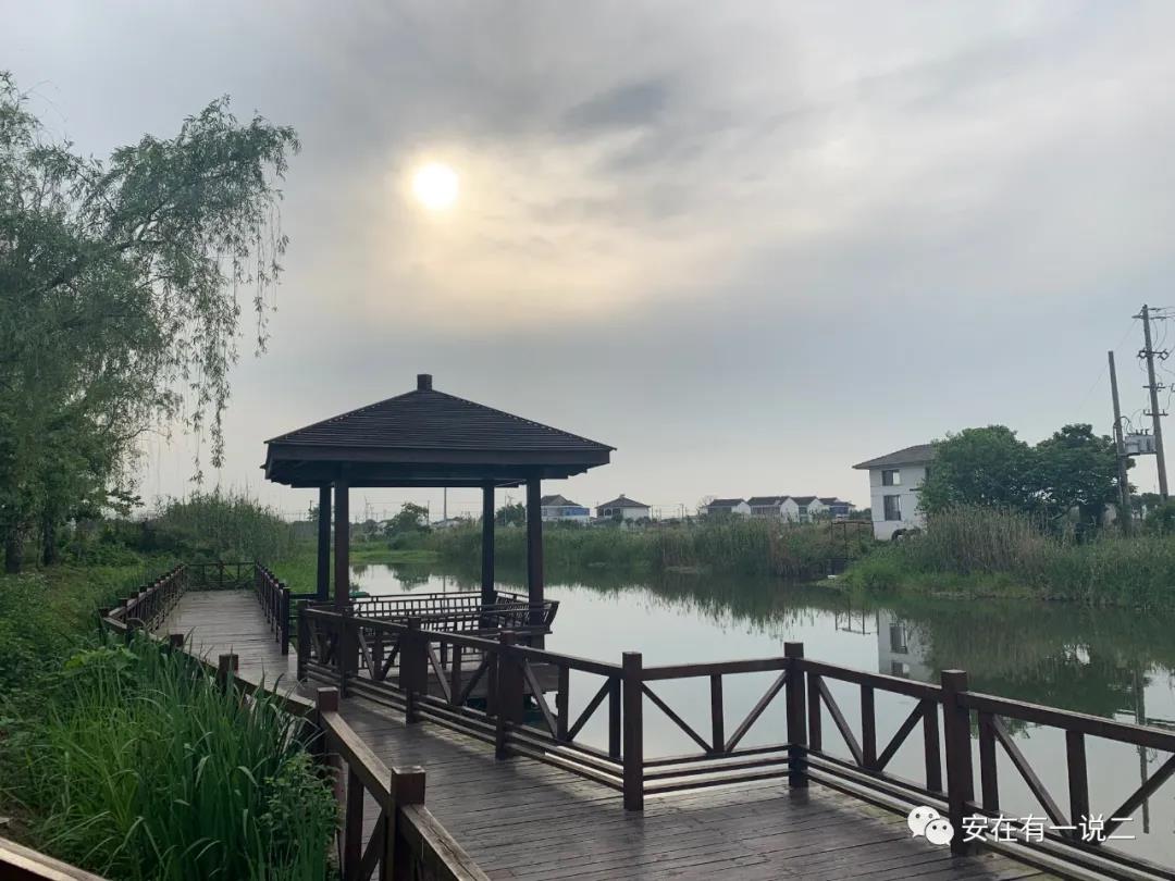 浦奕安简介,浦奕安简历