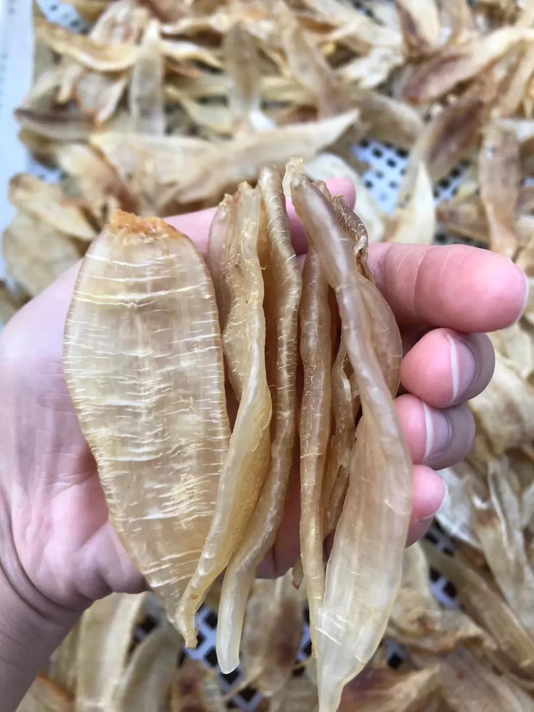 冬天鱼胶炖什么汤补身体,鱼鳔胶和什么煲汤有营养