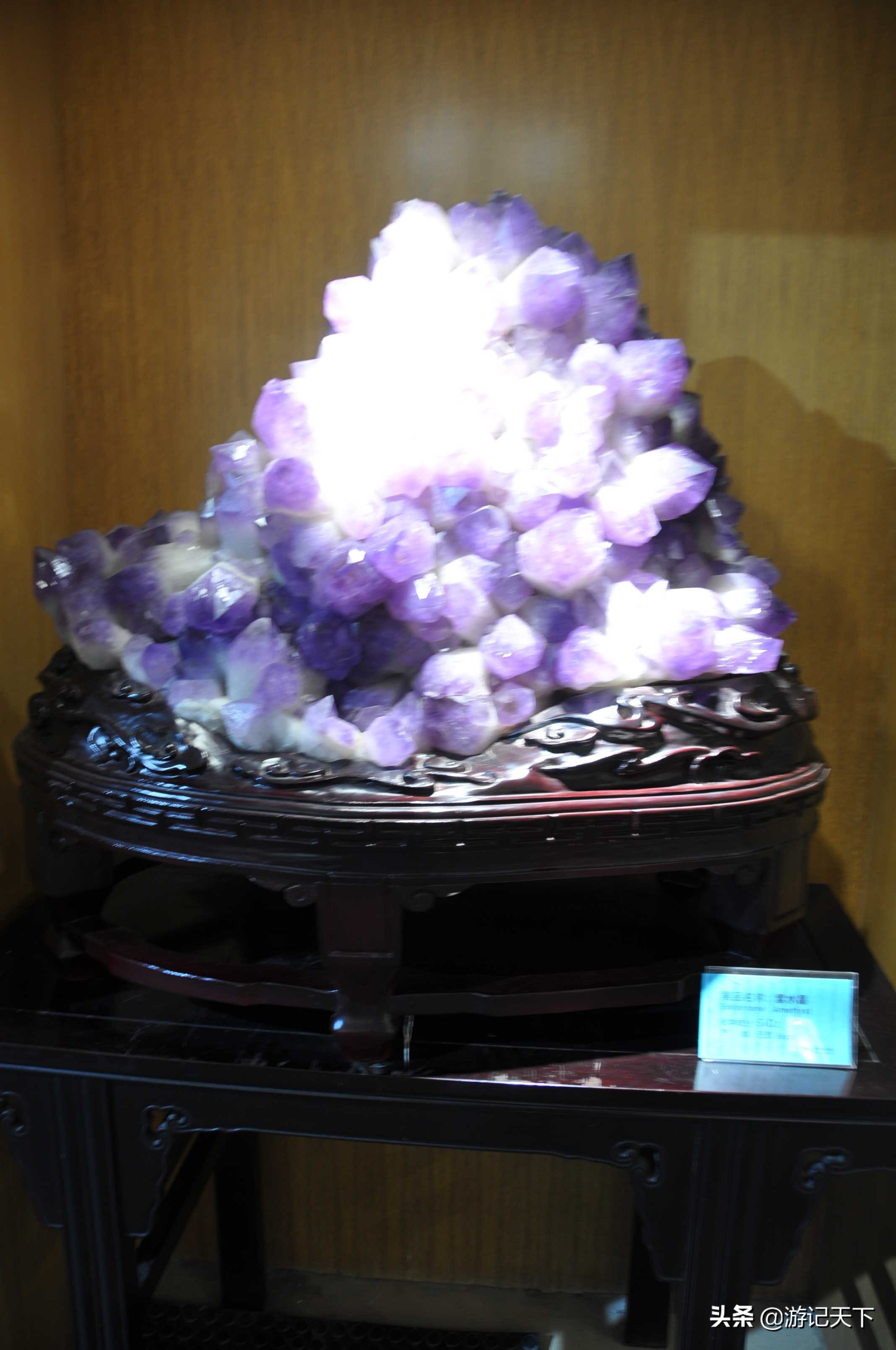 参观上海东方地质科普馆,上海东方地质科普馆需要预约吗