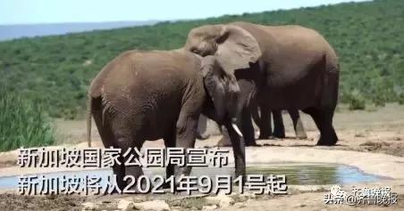 超意兴四喜丸子,超意兴把子肉价格变动情况