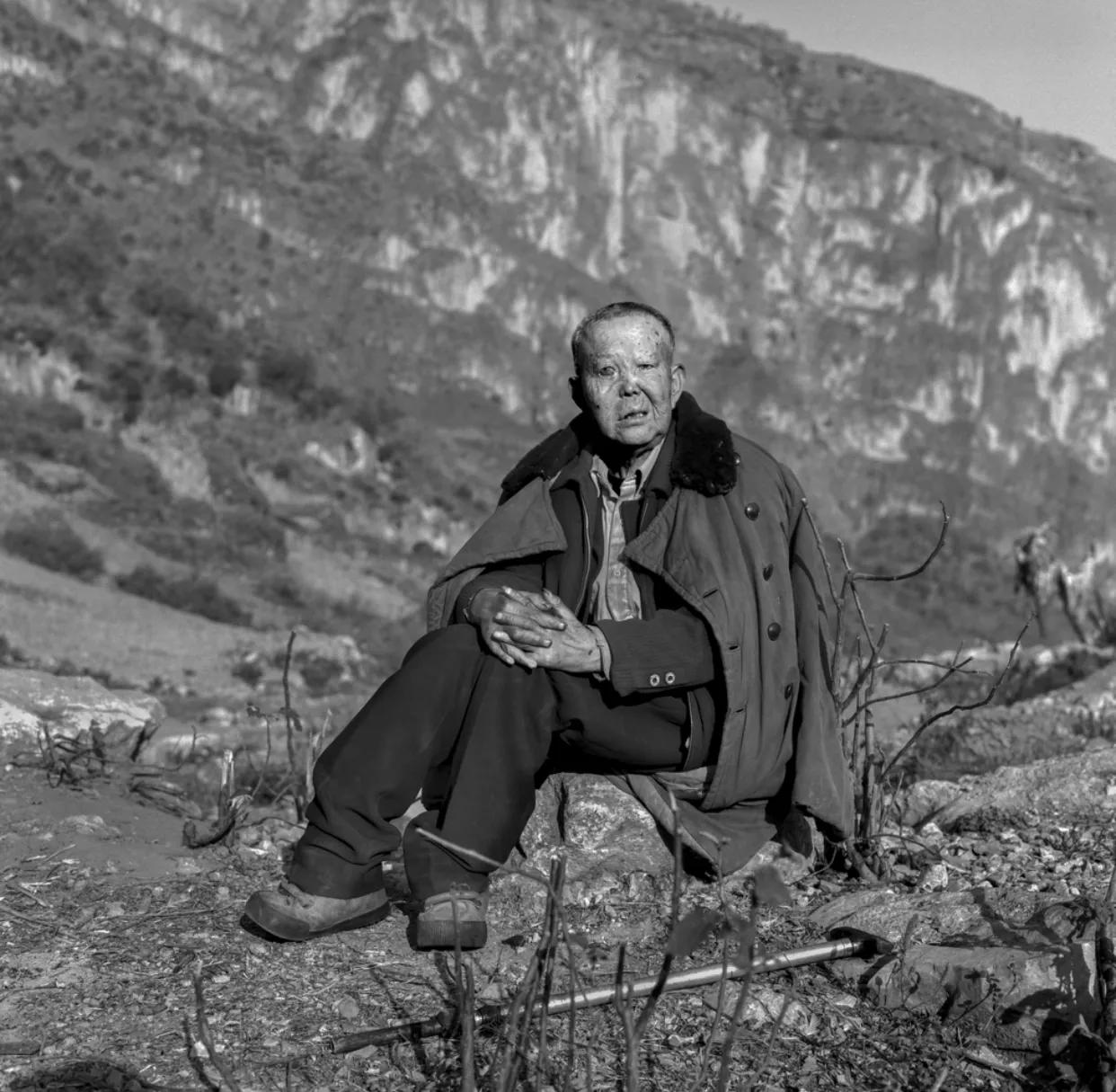 巴戟天的药理作用及临床应用,巴戟天医学科普