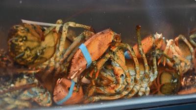 秦皇岛海浪花天桥海鲜批发市场,秦皇岛海浪花批发市场在哪